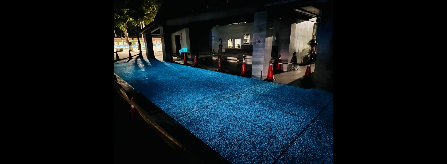 2024-雲林古坑綠色隧道公園.jpg