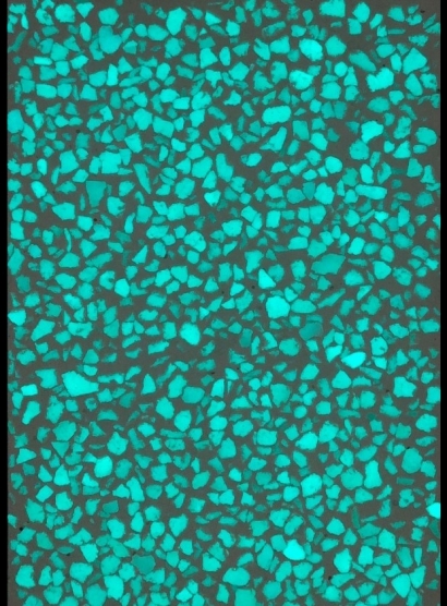 B100-S.jpg